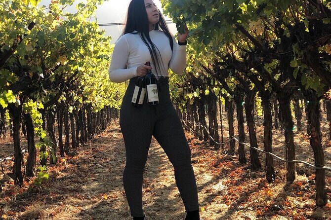 8 Hours 12 Passengers limo bus for Napa or Sonoma wine tour - Authentic Insights from Past Customers