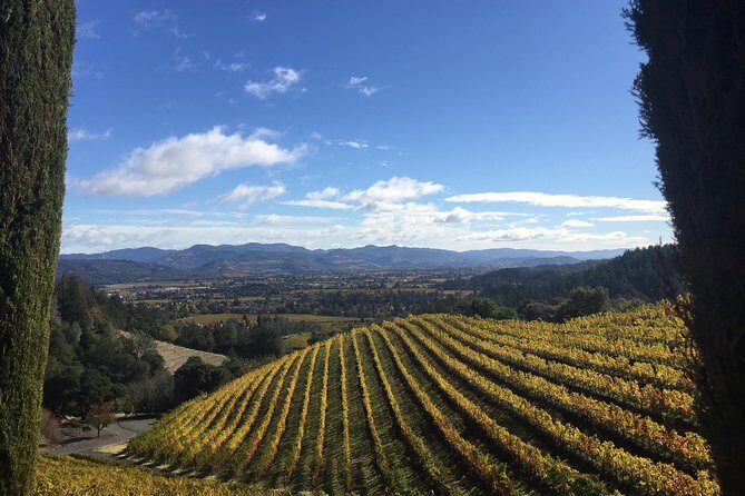 8-Hours Private SUV (up to 6 Passengers) San Francisco to Napa Valley Wine Tour - Why Choose This Napa Valley Private SUV Tour?