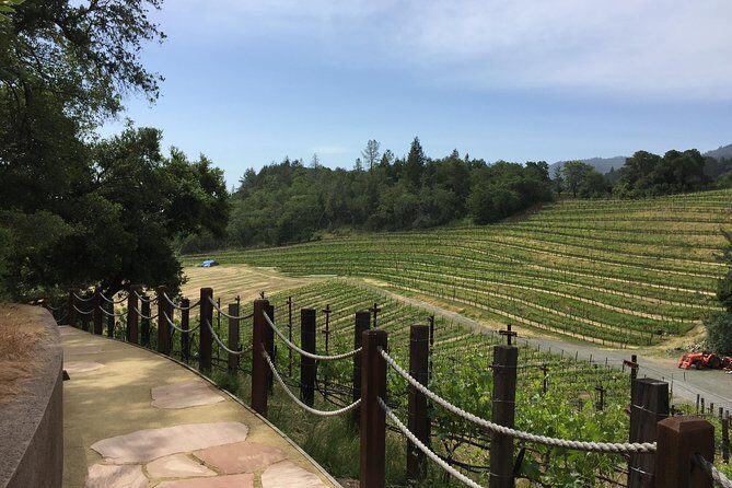 8-Hours Private SUV (up to 6 Passengers) San Francisco to Napa Valley Wine Tour - Who Is This Tour Best For?