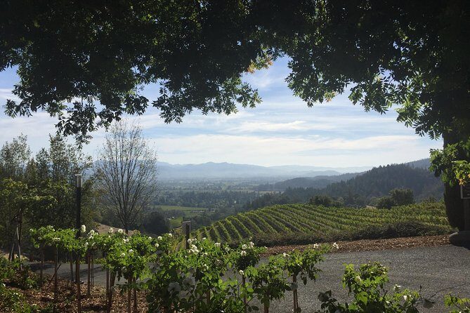 8-Hours Private SUV (up to 6 Passengers) San Francisco to Napa Valley Wine Tour - FAQ – Your Questions Answered