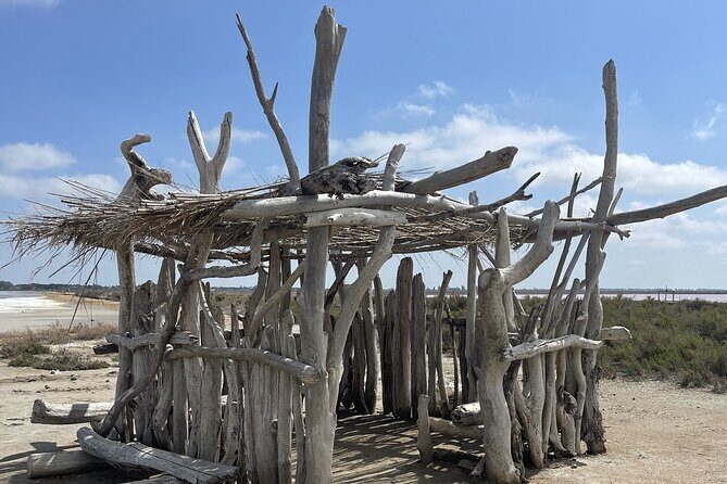 8 Hours Visit to the Camargue and the Salins dAigues-Mortes - What the Reviews Tell Us