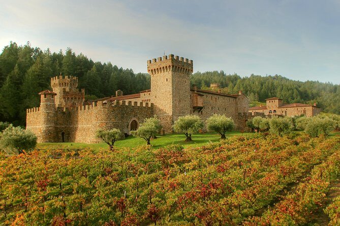 8-hr Beer & Wine Tour of Sonoma/Napa from San Francisco in XL SUV - A Detailed Look at What the Tour Offers