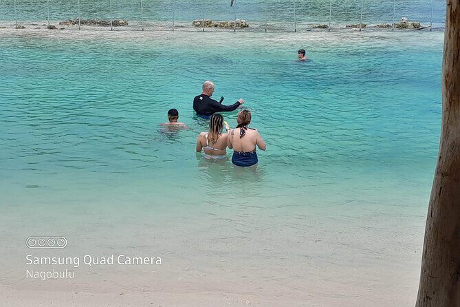 83 Islands Distillery & Sightseeing of Port Vila with Yumi Tours - Frequently Asked Questions