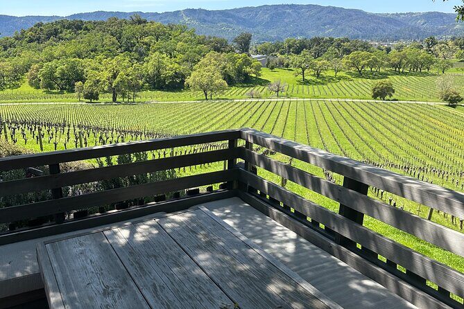 8hr Private Wine Tour in Napa and Sonoma with Priority Wine Pass - The Fine Details: What Makes This Tour Stand Out