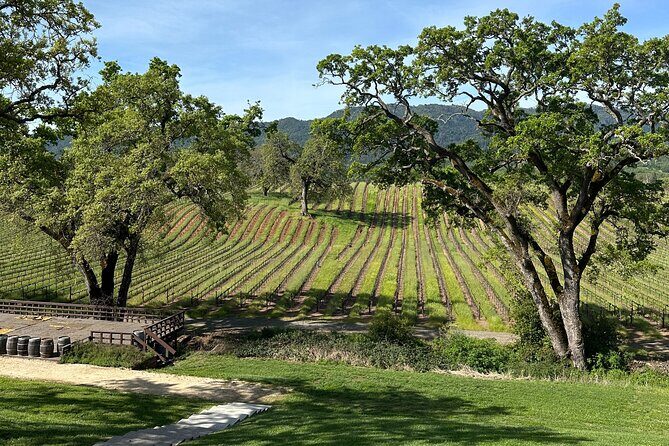 8hr Private Wine Tour in Napa and Sonoma with Priority Wine Pass - The Sum Up