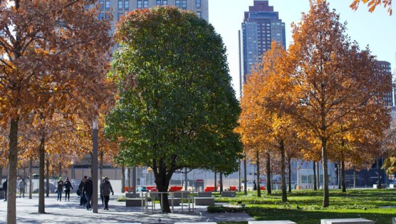 9/11 Memorial & Ground Zero Tour with Optional Museum Ticket - FAQ: Your Questions Answered