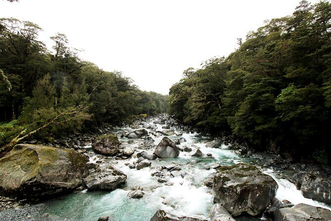 9 Day South to North Island NZ Private Tour from Queenstown - Rotorua’s Natural and Cultural Gems