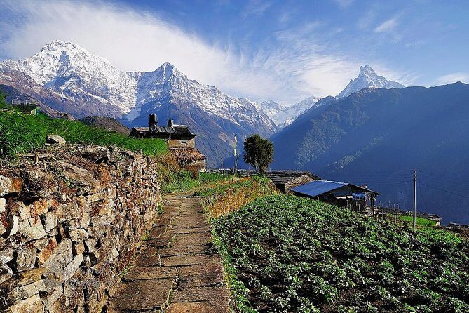 9 days Kids Friendly Lower Annapurna Royal Trek - An In-Depth Look at the Itinerary