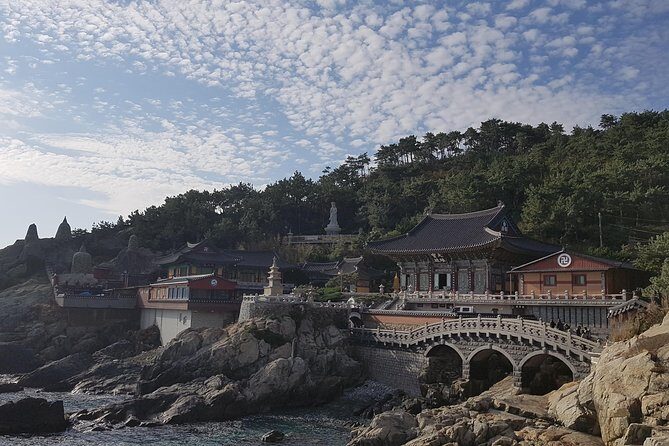 9-Days Tasty Journey Around South Korea Tour - Final Thoughts: Is It Worth It?