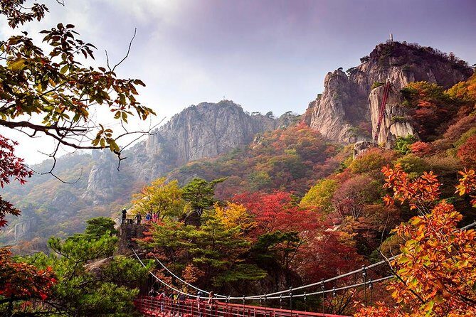 9-Days Tasty Journey Around South Korea Tour - FAQ