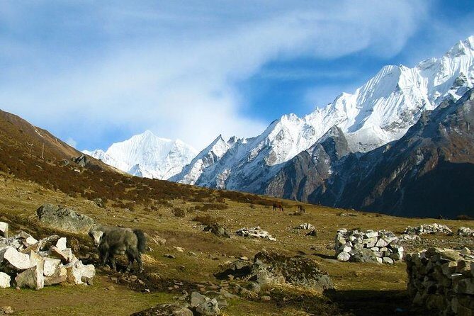 9 Days West Langtang Valley Tamang Heritage Trek - An In-Depth Look at the Trek Itinerary