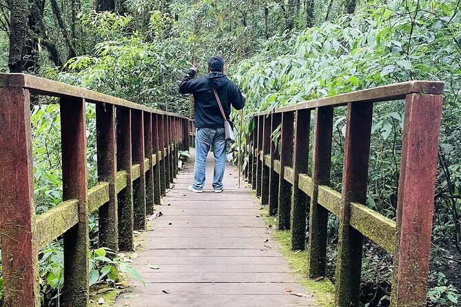 9 Hours Nature Tour in Inthanon National Park From Chiang Mai - Practical Details and Value