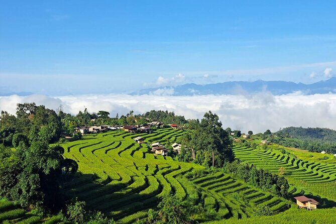 9 Hours Nature Tour in Inthanon National Park From Chiang Mai - FAQ