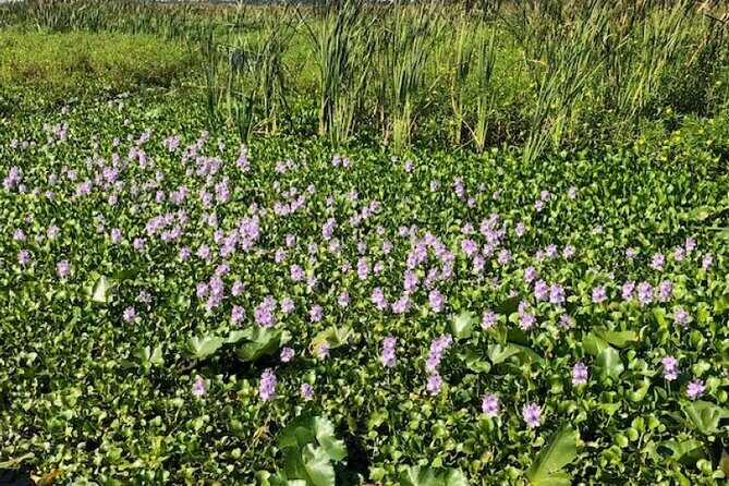 90 Minute Airboat Tour in the Florida Everglades - The Guides: The Heart of the Experience