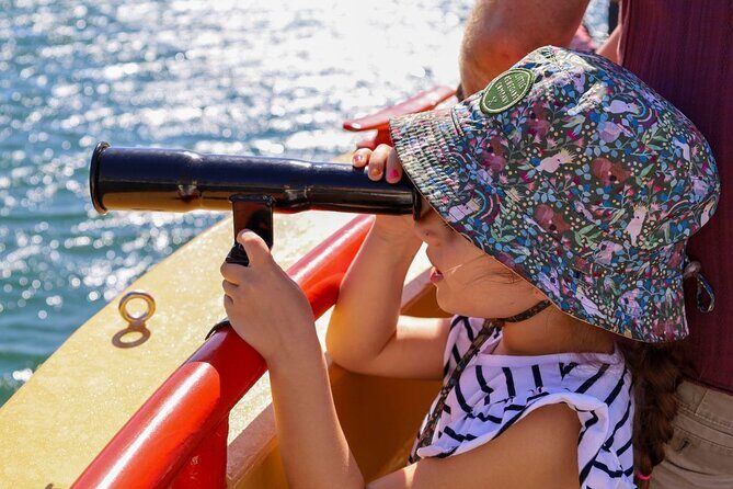 90 Minute Midweek Pirate Ship Scenic Cruise - Who Should Consider This Cruise?