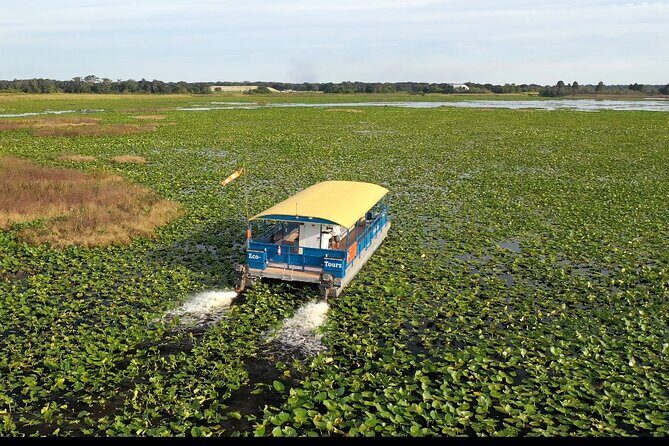 90 Minute Pontoon Cruise in Florida - Key Points