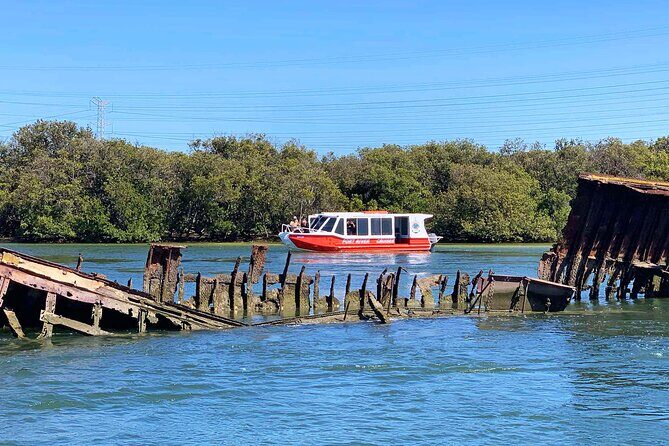 90 Minute Port River Dolphin & Ships Graveyard Cruise - The Itinerary: What to Expect on the Water