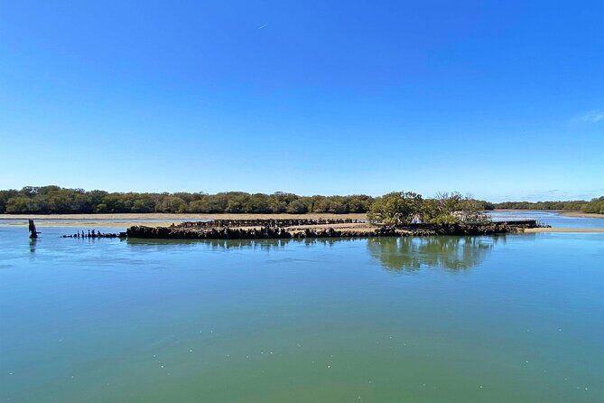 90 Minute Port River Dolphin & Ships Graveyard Cruise - Deep Dive: The Experience in Detail