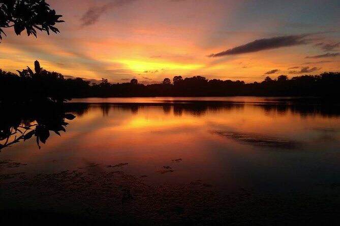 90-Minute Sunset paddle at Secret Lake Guided Kayak Tour in Casselberry - What to Expect on the Tour