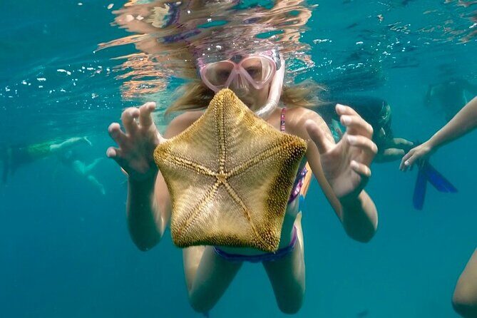 90 Minute Waikiki Turtle Canyon Snorkel - The Sum Up