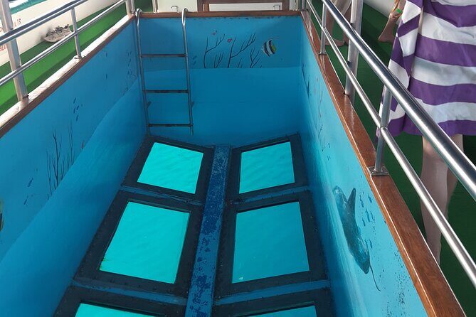 90-Minutes Glass Bottom Trip With Quick Dip - The Details of the Tour