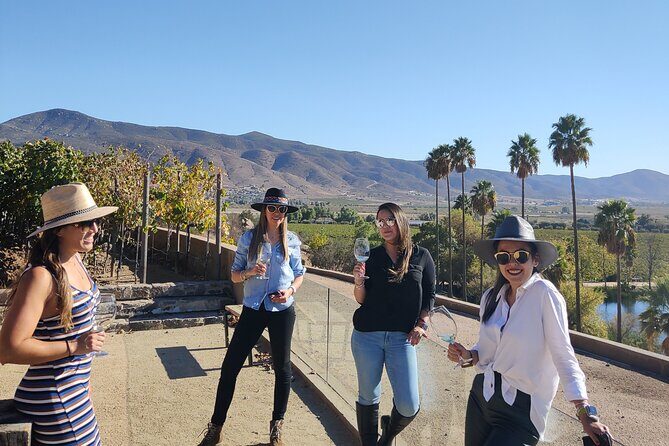 $99 Valle de Guadalupe Wine Tours - DayTrip to baja from San Diego - The Itinerary in Detail