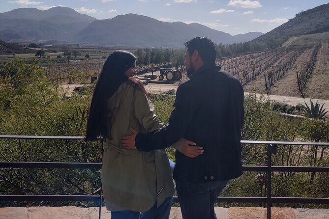 $99 Valle de Guadalupe Wine Tours - DayTrip to baja from San Diego - Practical Tips for Future Travelers