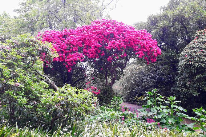 A 2 hour Small Group Dunedin City Highlights Tour - Final Words