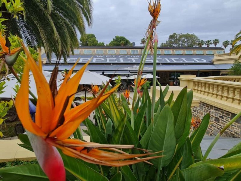 A Barossa Valley Private Tour for Four Guests: Local Pickup. - Final Thoughts