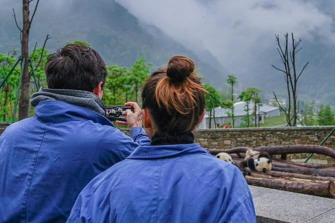a better Panda Volunteer Experience at the Best panda base - WOLONG - Why This Tour Stands Out