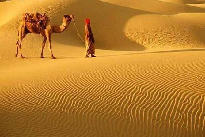 A Camel Safari with High Tea and Local Music - Key Points
