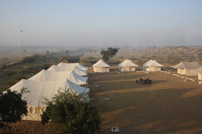 A Camel Safari with High Tea and Local Music - What to Expect from the Tour