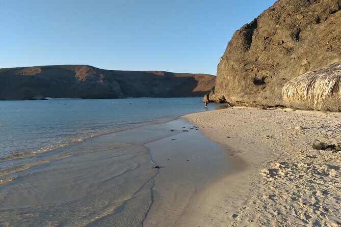 A complete day in a Private Tour to Balandra Beach. - What Reviewers Love Most