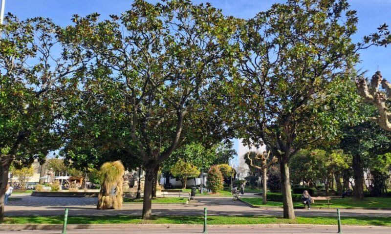 A Coruña: Premium Tuk Tuk tour - Exploring A Coruña in Style and Substance