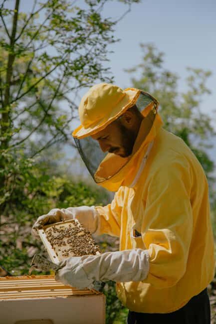 A day as a beekeeper: an adventure among mountains and nature - An In-Depth Look at the Beekeeper Experience