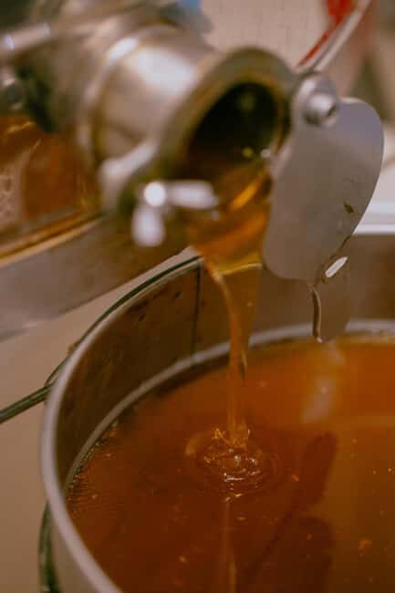 A day as a beekeeper: an adventure among mountains and nature - Who Should Consider This Experience?