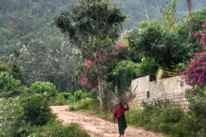 A Day At Nandi - A comprehensive review of the "A Day At Nandi" tour: exploring Bangalore’s scenic crown jewel