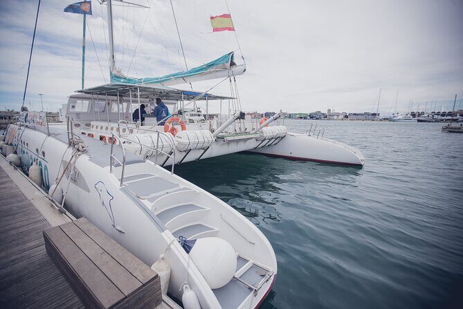 A day at Sea aboard Mundo Marino Catamaran in Valencia - Final Thoughts