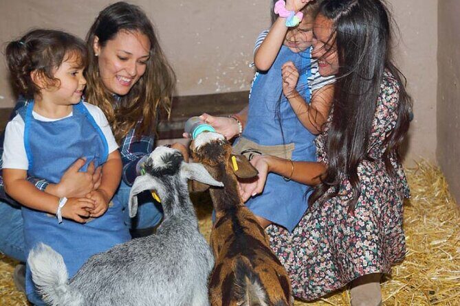 A day at the farm - Key Points
