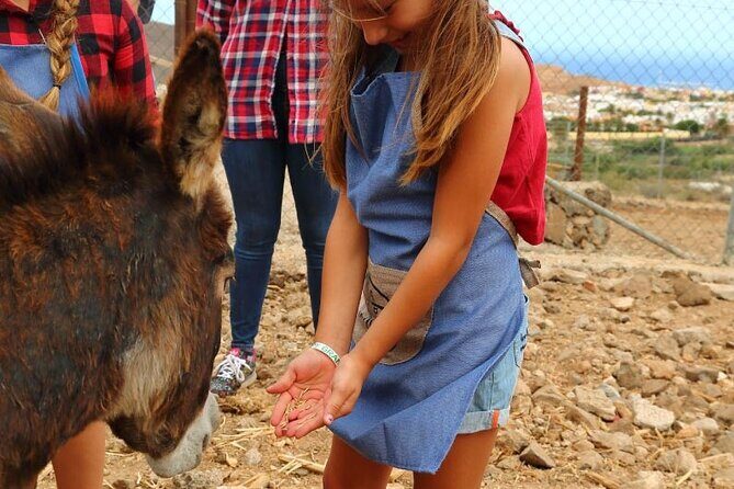 A day at the farm - How the Day Unfolds
