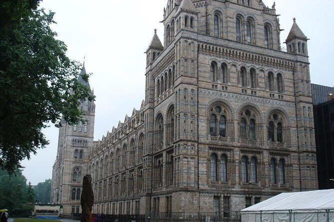 A Day at the Museum - Natural History Museum London - What to Expect from Your Visit
