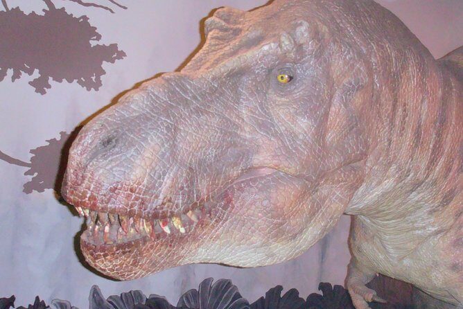 A Day at the Museum - Natural History Museum London - FAQ