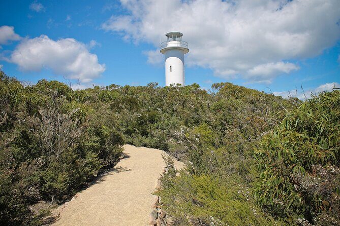 A Day At Wineglass Bay - Authentic Experiences That Matter