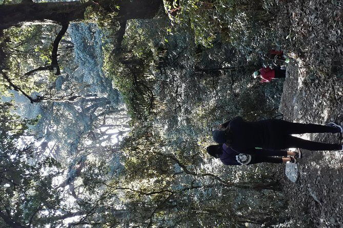 A day hike from Kathmandu to Bagadwaar - Who Should Consider This Hike?