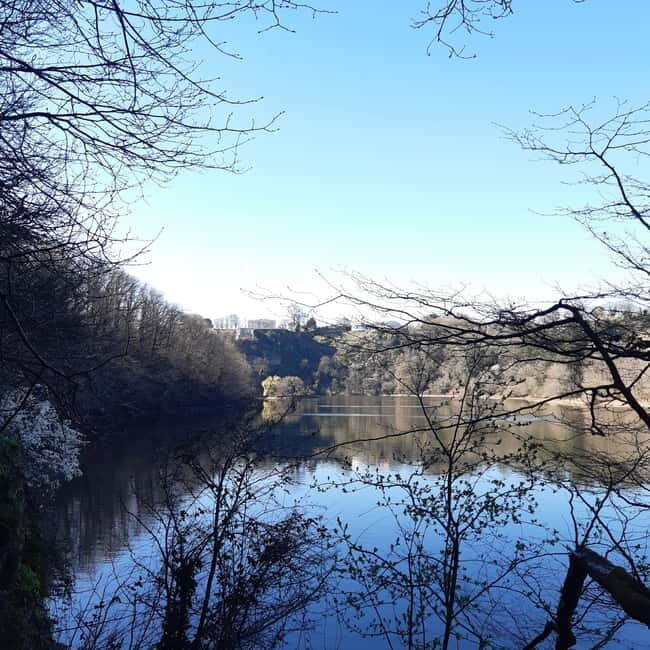A Day Hike in Mervent Forest (Vendée) - A Day Hike in Mervent Forest (Vendée)