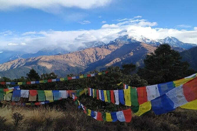 A Day Hiking from Kathmandu to Phulchowki Hill - The Itinerary in Detail