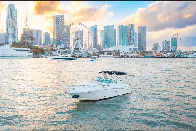 A Day in Miami Paradise - FAQs