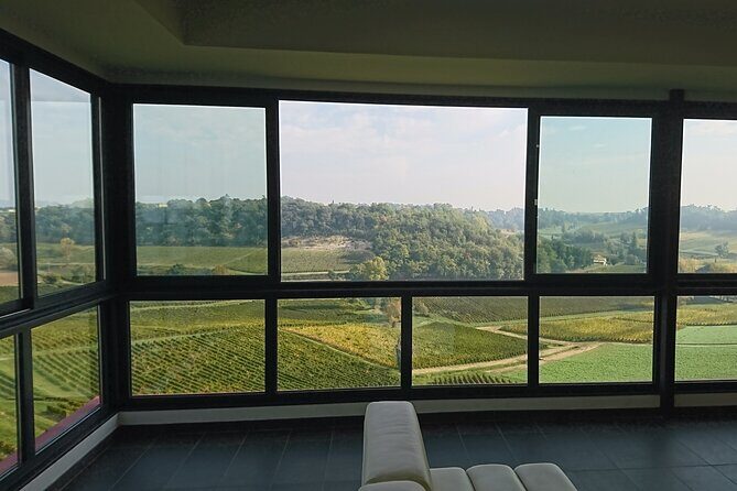 A day in Saint-Emilion in a small group (Electric Luxury Van) - The Itinerary: A Deep Dive into What to Expect