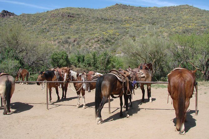 A Day In The Old West Adventure including Horseback Ride and Cowboy Lunch - Frequently Asked Questions (FAQs)