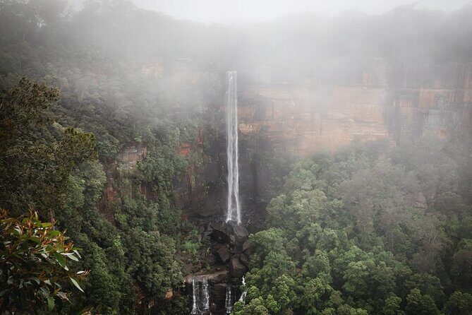 A Day In The Vineyards || Luxury Private Winery Tour From Sydney - A Day in the Vineyards || Luxury Private Winery Tour From Sydney